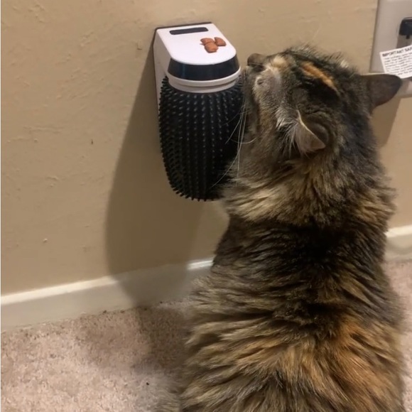 Automatic Self Groomer for Cats - Cat Grooming Supplies, Pet Hair Removal Brush - Picture 4 of 6